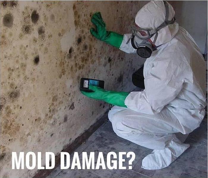 Masked Technician inspecting mold on a wall inside a home.